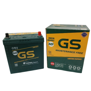 GS Maintenance Free