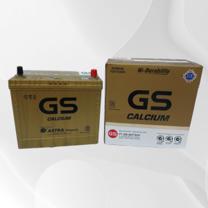 GS Calcium
